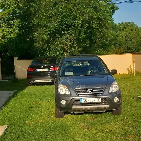 Mir I Tisina * Veliki Borak