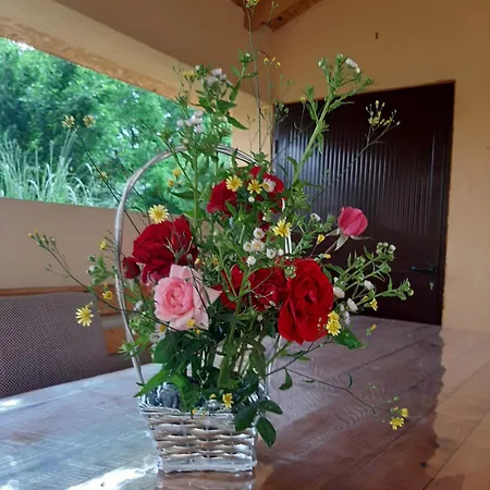 דירה Mir I Tisina *